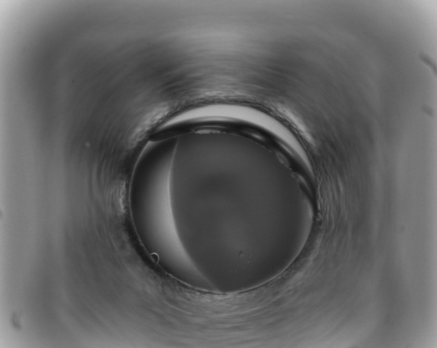 X0000095920023200801181427