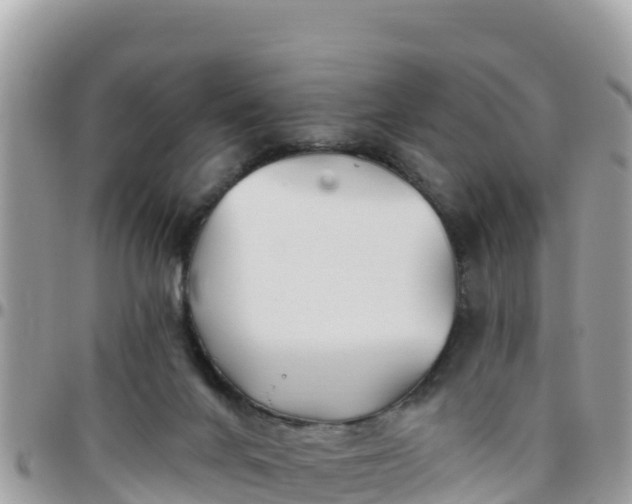 X0000095920024200801181427