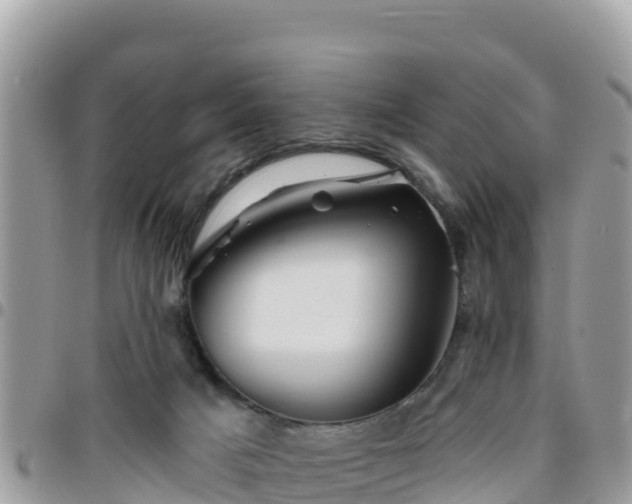 X0000095920025200801181427