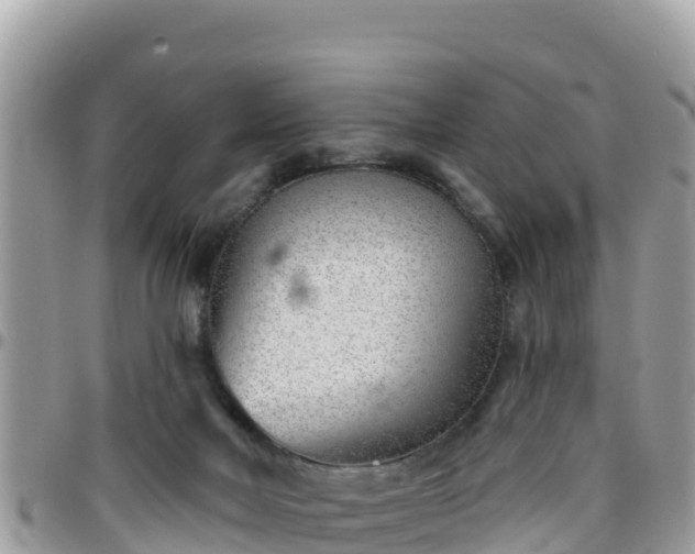 X0000095920026200801181427