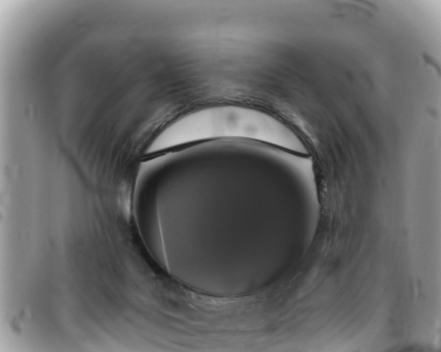 X0000095920027200801181427