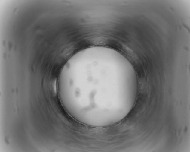 X0000095920028200801181427