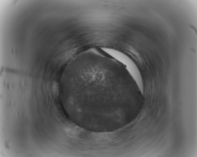 X0000095920029200801181427