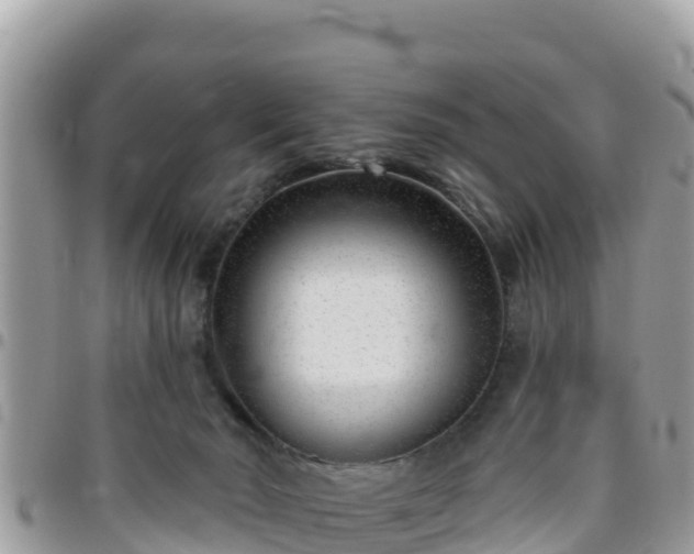 X0000095920030200801181427