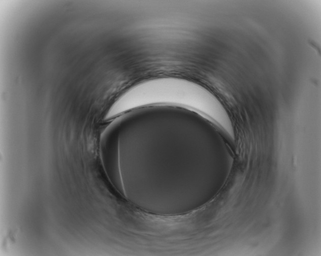 X0000095920031200801181427