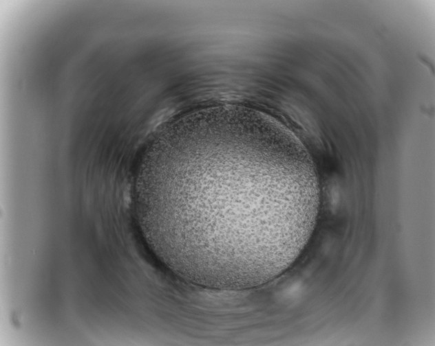 X0000095920032200801181427