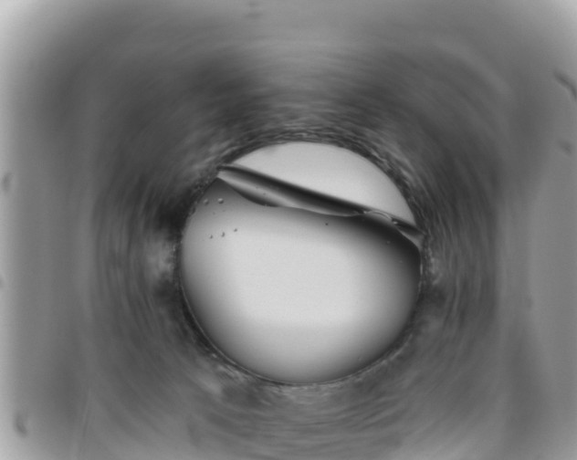 X0000095920033200801181427