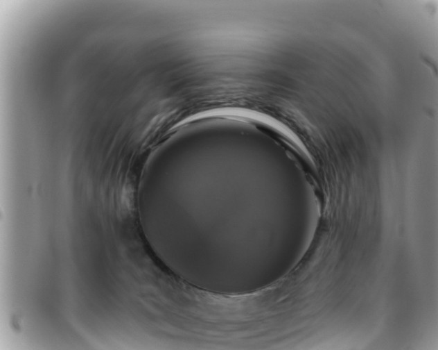 X0000095920035200801181427