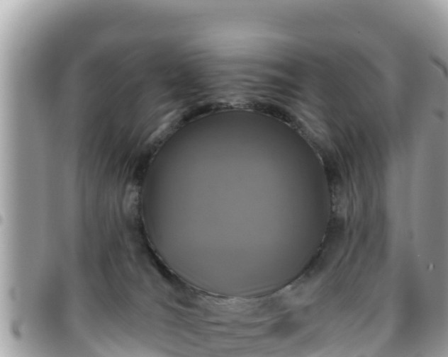 X0000095920036200801181427