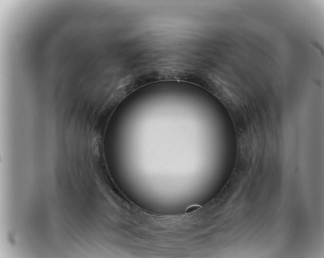 X0000095920038200801181427