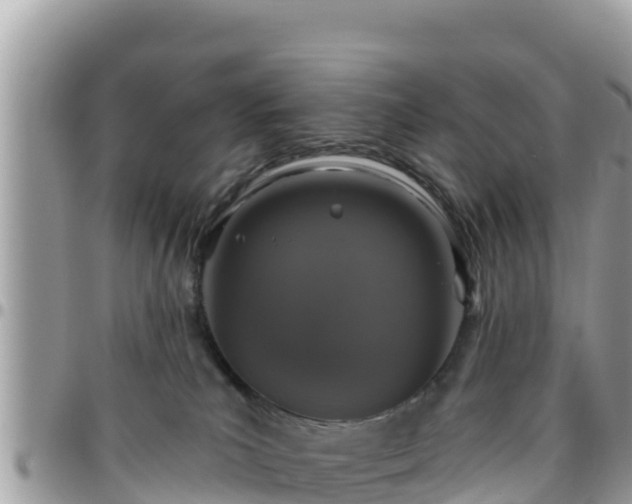 X0000095920039200801181427