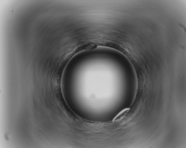 X0000095920040200801181427