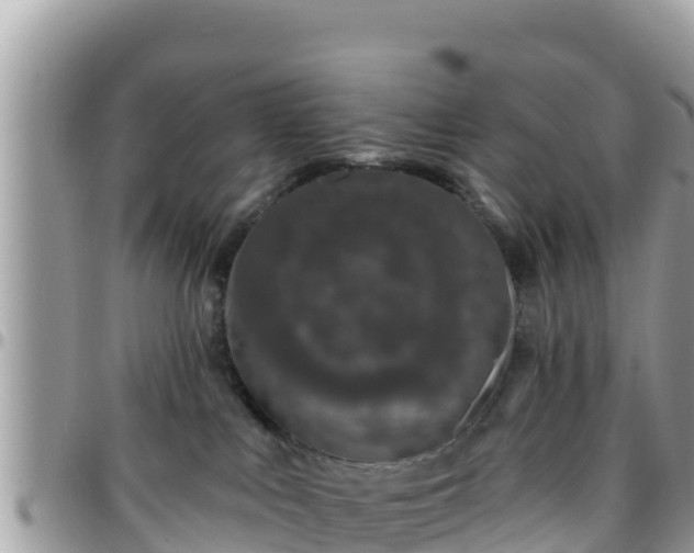 X0000095920043200801181427