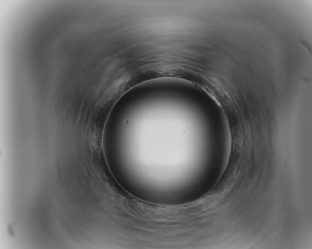 X0000095920044200801181427