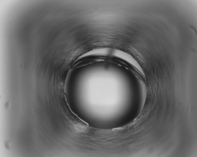 X0000095920045200801181427