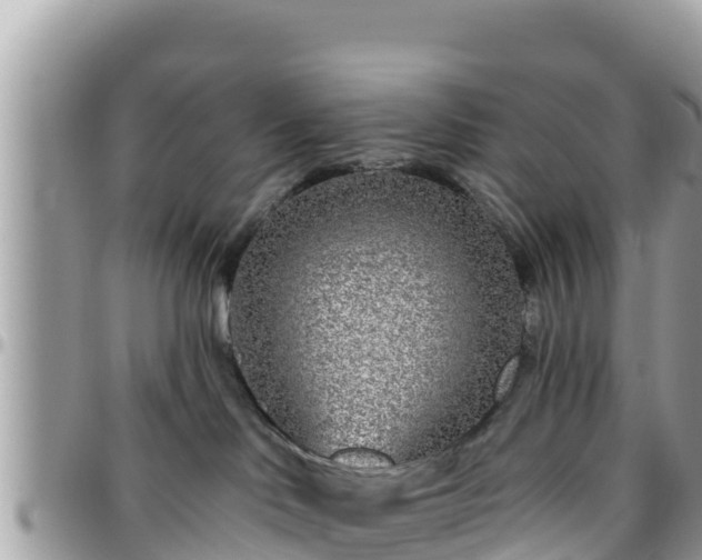 X0000095920046200801181427