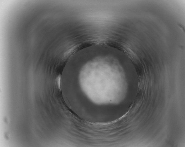 X0000095920047200801181427