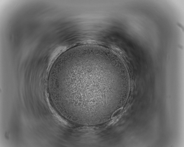 X0000095920049200801181427