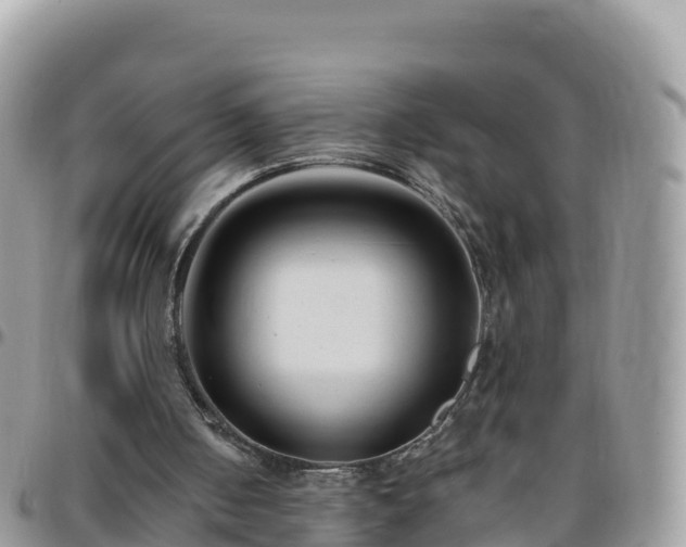 X0000095920050200801181427