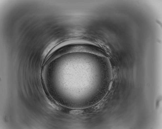 X0000095920051200801181427