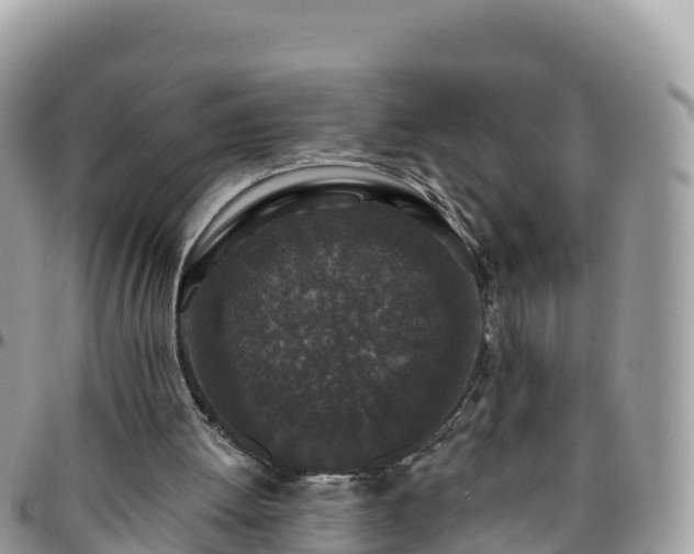 X0000095920052200801181427