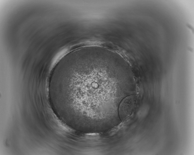 X0000095920053200801181427