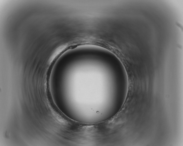 X0000095920054200801181427