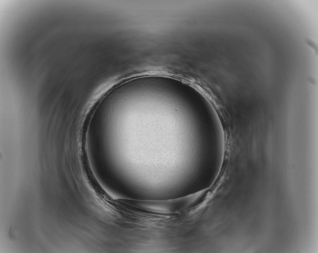 X0000095920055200801181427