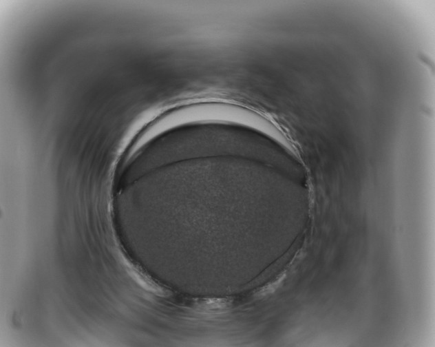 X0000095920056200801181427