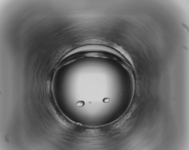 X0000095920057200801181427