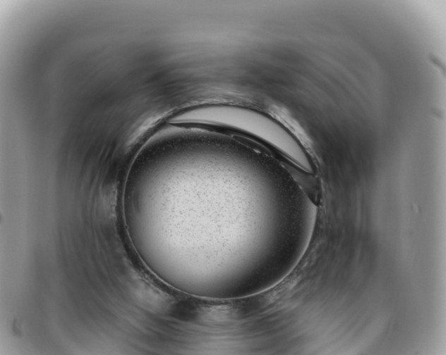 X0000095920058200801181427