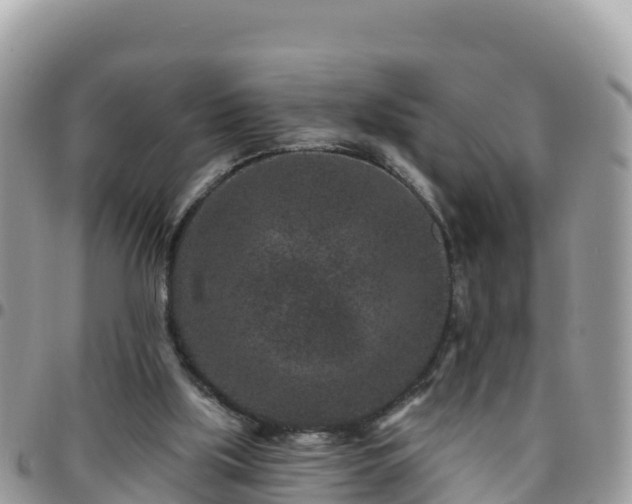 X0000095920059200801181427