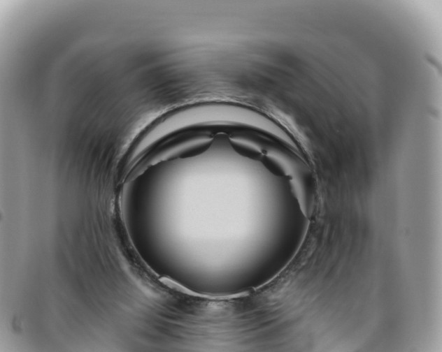 X0000095920060200801181427