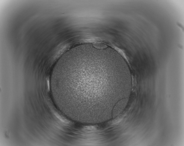 X0000095920061200801181427