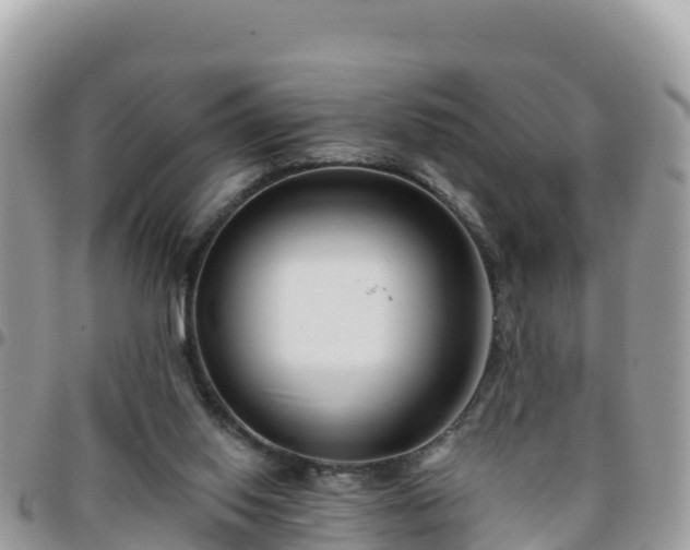 X0000095920062200801181427