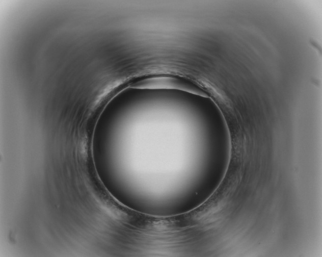 X0000095920064200801181427