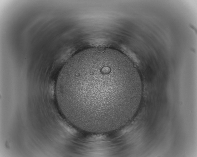 X0000095920065200801181427