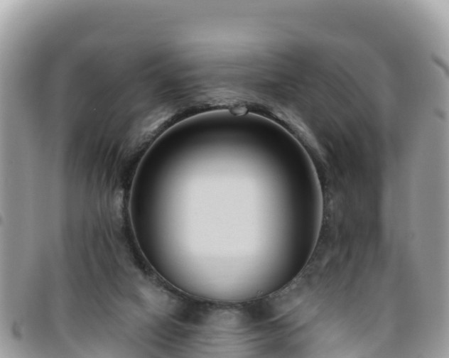 X0000095920066200801181427