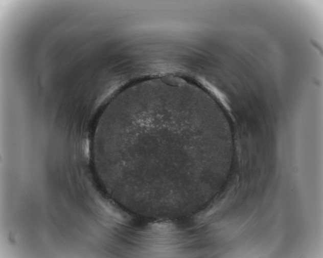 X0000095920067200801181427