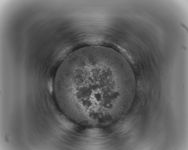 X0000095920069200801181427