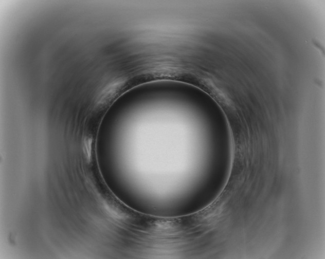 X0000095920070200801181427