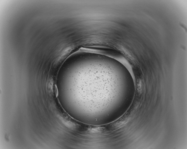 X0000095920072200801181427