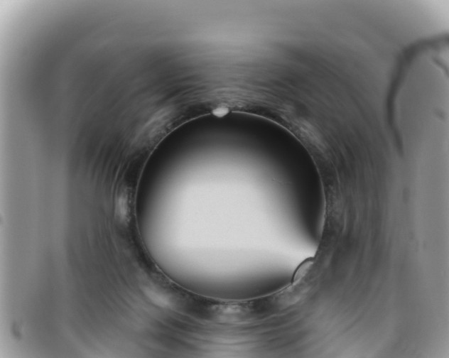 X0000095920074200801181427