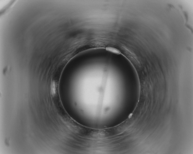 X0000095920075200801181427