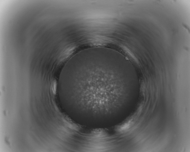 X0000095920076200801181427