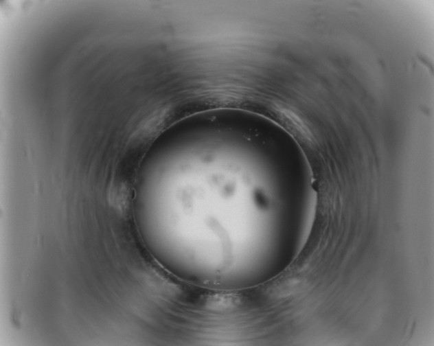 X0000095920077200801181427