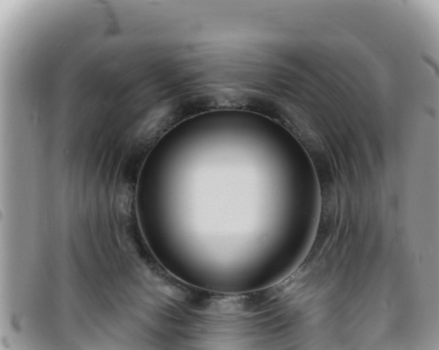 X0000095920078200801181427