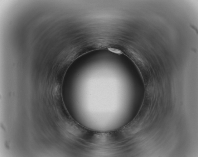 X0000095920079200801181427