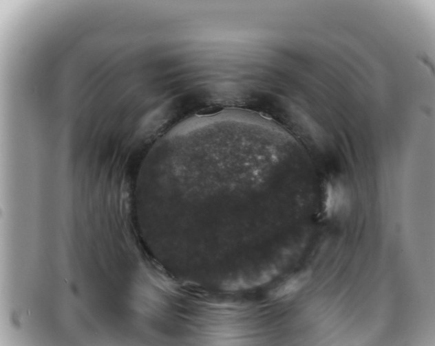 X0000095920080200801181427