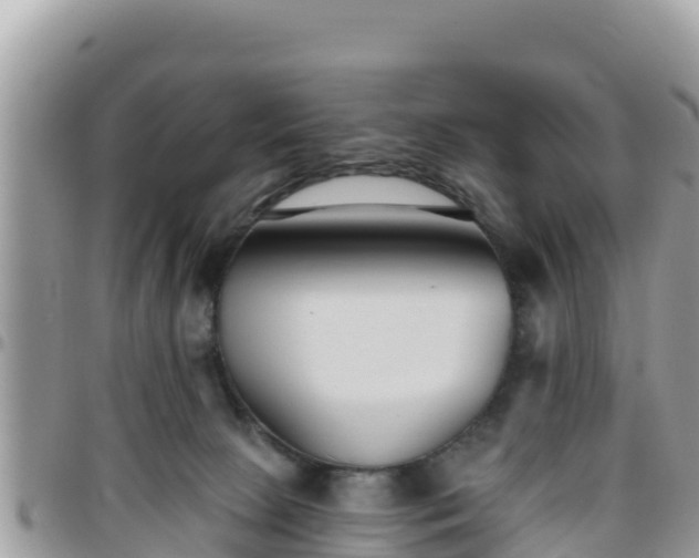 X0000095920081200801181427